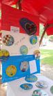 IMG-20250604-WA0013